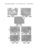 SERICIN EXTRACTED FABRICS diagram and image