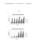 MODIFIED POLYNUCLEOTIDES ENCODING HEPATITIS A VIRUS CELLULAR RECEPTOR 2 diagram and image