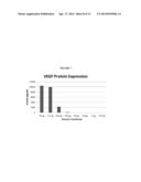 MODIFIED POLYNUCLEOTIDES ENCODING HEPATITIS A VIRUS CELLULAR RECEPTOR 2 diagram and image