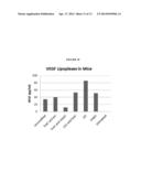 MODIFIED POLYNUCLEOTIDES ENCODING HEPATITIS A VIRUS CELLULAR RECEPTOR 2 diagram and image