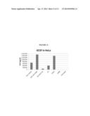 MODIFIED POLYNUCLEOTIDES ENCODING HEPATITIS A VIRUS CELLULAR RECEPTOR 2 diagram and image