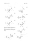 MODIFIED POLYNUCLEOTIDES ENCODING HEPATITIS A VIRUS CELLULAR RECEPTOR 2 diagram and image