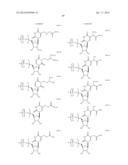 MODIFIED POLYNUCLEOTIDES ENCODING HEPATITIS A VIRUS CELLULAR RECEPTOR 2 diagram and image