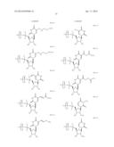 MODIFIED POLYNUCLEOTIDES ENCODING HEPATITIS A VIRUS CELLULAR RECEPTOR 2 diagram and image