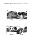 METHODS AND COMPOSITIONS FOR MAINTAINING AND IMPROVING THE HEALTH OF SKIN diagram and image