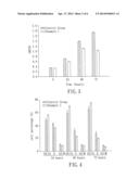 MEDICAL COMPOSITION FOR INHIBITING THE GROWTH OF CANCER STEM CELLS diagram and image