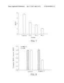 MEDICAL COMPOSITION FOR INHIBITING THE GROWTH OF CANCER STEM CELLS diagram and image