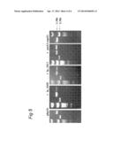 Probiotics with Enhanced Survival Properties diagram and image