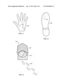 SYSTEM AND METHOD FOR TAMPER EVIDENT FLUORESCENT COATING diagram and image