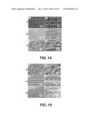 POLYMER HAVING OPTICALLY TRANSPARENT SUPERHYDROPHOBIC SURFACE diagram and image