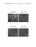 SODIUM NIOBATE POWDER, METHOD OF MANUFACTURING A SODIUM NIOBATE POWDER,     PLATE-LIKE PARTICLE, METHOD OF MANUFACTURING A PLATE-LIKE PARTICLE, AND     METHOD OF MANUFACTURING AN ORIENTED CERAMICS diagram and image