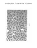 NANOSCALE THREE-DIMENSIONAL BATTERY ARCHITECTURE diagram and image