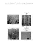 NANOSCALE THREE-DIMENSIONAL BATTERY ARCHITECTURE diagram and image