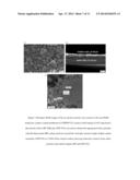 Membrane-Electrode Structures for Molecular Catalysts for use in Fuel     Cells and otherElectrochemical Devices diagram and image