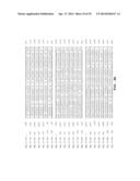 METHODS, NUCLEIC ACIDS, AND KITS FOR DETECTION OF PARVOVIRUS B19 diagram and image