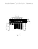 METHOD OF ASSAYING DNA TOPOISOMERASES AND DNA BINDING PROTEINS USING HIGH     THROUGHPUT SCREENING diagram and image