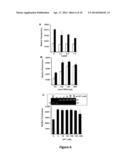 METHOD OF ASSAYING DNA TOPOISOMERASES AND DNA BINDING PROTEINS USING HIGH     THROUGHPUT SCREENING diagram and image