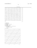 MOLECULAR MARKERS IN PROSTATE CANCER diagram and image