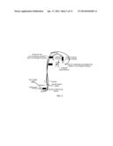 FLUIDIZED BED DETECTOR FOR CONTINUOUS, ULTRA-SENSITIVE DETECTION OF     BIOLOGICAL AND CHEMICAL MATERIALS diagram and image