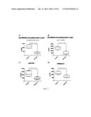 BIOMARKERS FOR AGGRESSIVE PROSTATE CANCER diagram and image