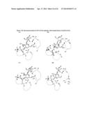 Peptide Analogues of PA-IL and Their Utility for Glycan and Glycoconjugate     Analysis and Purification diagram and image