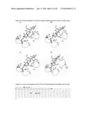 Peptide Analogues of PA-IL and Their Utility for Glycan and Glycoconjugate     Analysis and Purification diagram and image