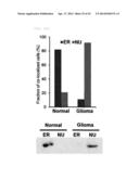 METHOD FOR DIAGNOSING GLIOMA AND SCREENING FOR THE THERAPEUTICS OF GLIOMA     THROUGH IDENTIFYING PROTEIN RELOCATION diagram and image