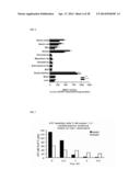 METHOD FOR CONTROLLING NAD(P)/NAD(P)H RATIO BY OXIDOREDUCTASE diagram and image