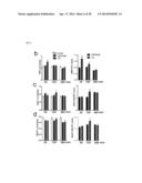 METHOD FOR CONTROLLING NAD(P)/NAD(P)H RATIO BY OXIDOREDUCTASE diagram and image