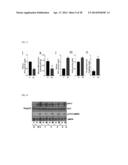 METHOD FOR CONTROLLING NAD(P)/NAD(P)H RATIO BY OXIDOREDUCTASE diagram and image