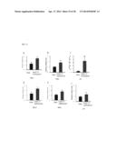 METHOD FOR CONTROLLING NAD(P)/NAD(P)H RATIO BY OXIDOREDUCTASE diagram and image