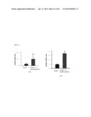 METHOD FOR CONTROLLING NAD(P)/NAD(P)H RATIO BY OXIDOREDUCTASE diagram and image