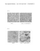 METHOD FOR CONTROLLING NAD(P)/NAD(P)H RATIO BY OXIDOREDUCTASE diagram and image