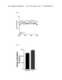 METHOD FOR CONTROLLING NAD(P)/NAD(P)H RATIO BY OXIDOREDUCTASE diagram and image