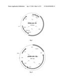 VECTOR-HOST SYSTEM diagram and image