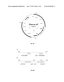 VECTOR-HOST SYSTEM diagram and image