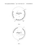 VECTOR-HOST SYSTEM diagram and image