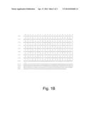 Polypeptides Having Carboxypeptidase Activity And Polynucleotides Encoding     Same diagram and image