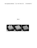 METHODS AND COMPOSITIONS FOR HIGH EFFICIENCY TRANSFECTION OF siRNA diagram and image