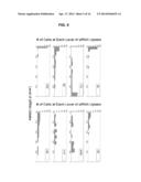 METHODS AND COMPOSITIONS FOR HIGH EFFICIENCY TRANSFECTION OF siRNA diagram and image