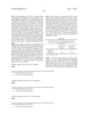 RNase H-Based Assays Utilizing Modified RNA Monomers diagram and image