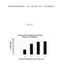 RNase H-Based Assays Utilizing Modified RNA Monomers diagram and image