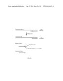 RNase H-Based Assays Utilizing Modified RNA Monomers diagram and image