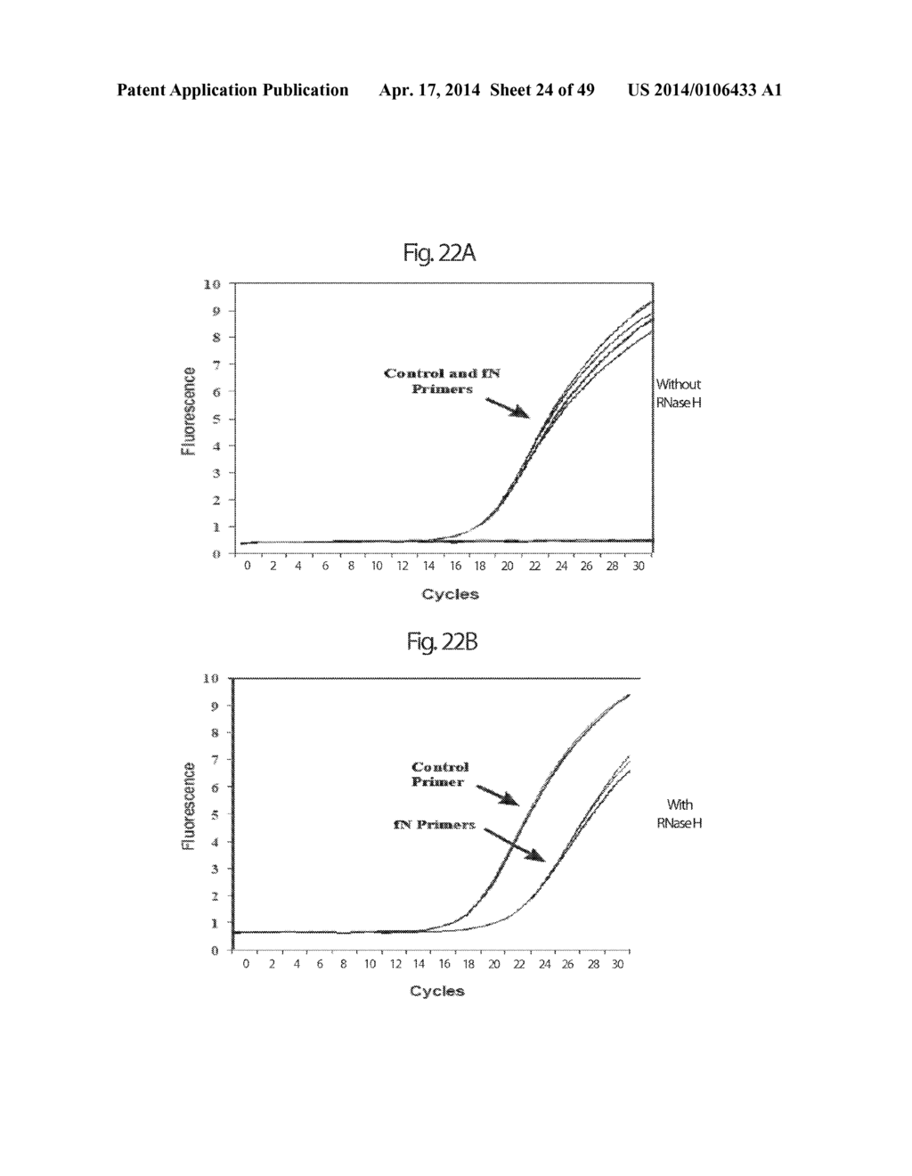 RNase H-Based Assays Utilizing Modified RNA Monomers - diagram, schematic, and image 25