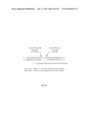 RNase H-Based Assays Utilizing Modified RNA Monomers diagram and image