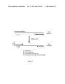 RNase H-Based Assays Utilizing Modified RNA Monomers diagram and image