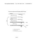 RNase H-Based Assays Utilizing Modified RNA Monomers diagram and image