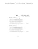 RNase H-Based Assays Utilizing Modified RNA Monomers diagram and image