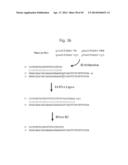 RNase H-Based Assays Utilizing Modified RNA Monomers diagram and image