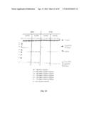 RNase H-Based Assays Utilizing Modified RNA Monomers diagram and image